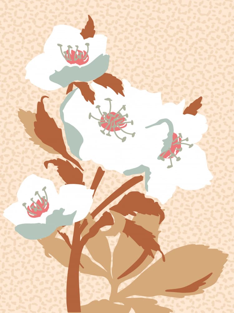 Gentle White Blooms by Annick — canvas wall art