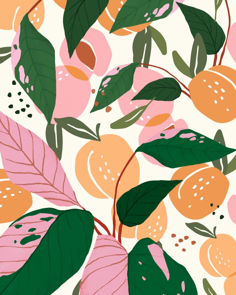 Modern Botanical Peaches by Uma Gokhale — canvas wall art