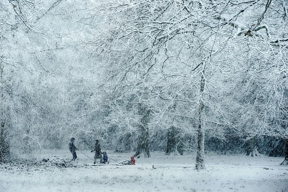 Winter Wonderland Play by Saskia Dingemans — canvas wall art