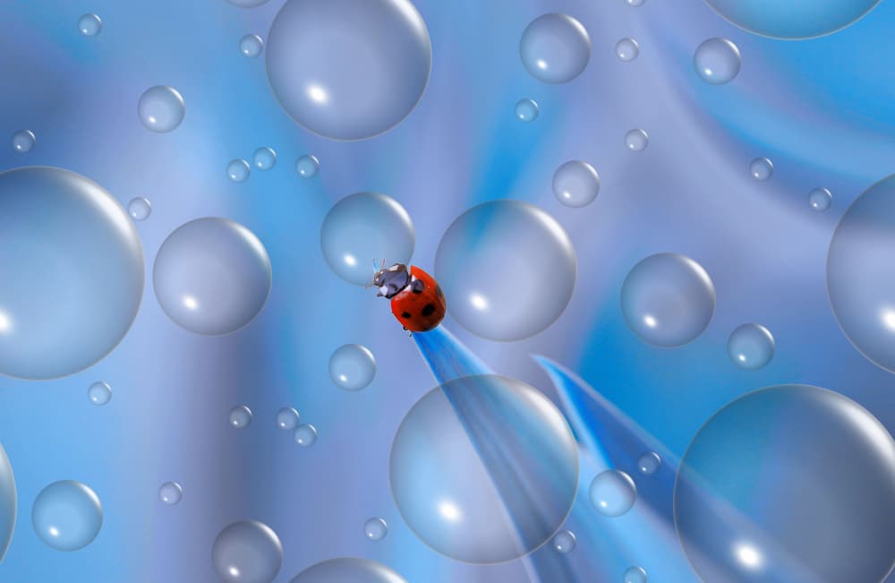 Ladybug Blue Bubbles by Thierry Dufour — canvas wall art