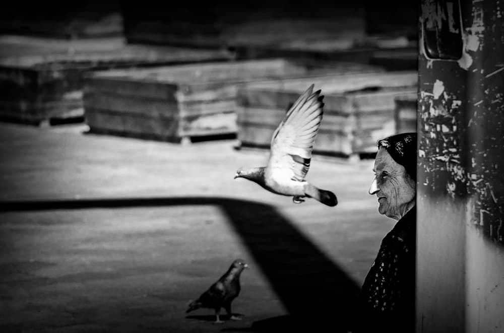 Woman And Flying Pigeon by Ömer Ates Kızıltug — canvas wall art
