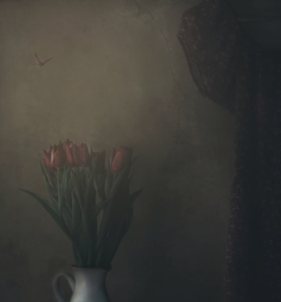 Shadowed Tulips and Butterfly by Delphine Devos — canvas wall art