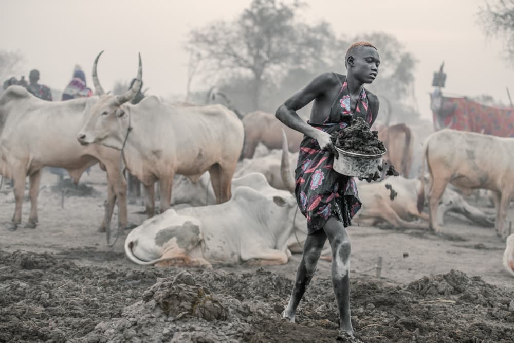 African Boy Cattle Camp by Trevor Cole — canvas wall art
