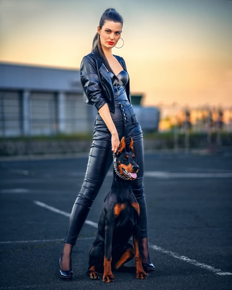 Sleek Woman Doberman Dog by Vasil Nanev — canvas wall art
