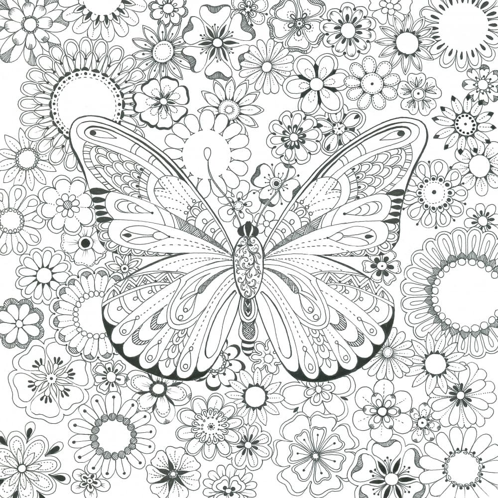 Butterfly and Flowers by Isabelle Brent — canvas wall art