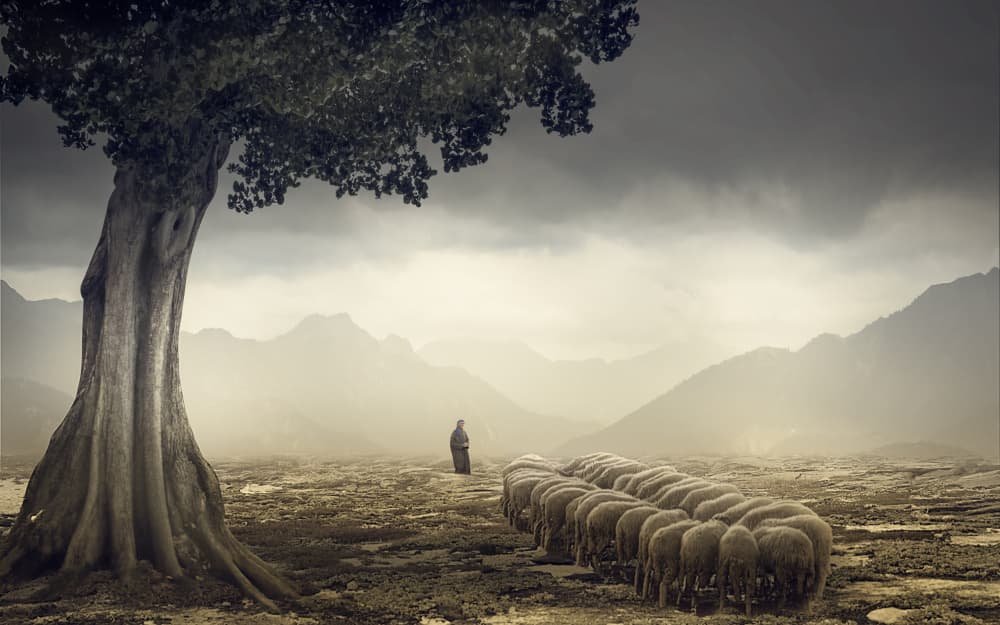 Shepherd's Long Journey by Gabrielle Halperin — canvas wall art