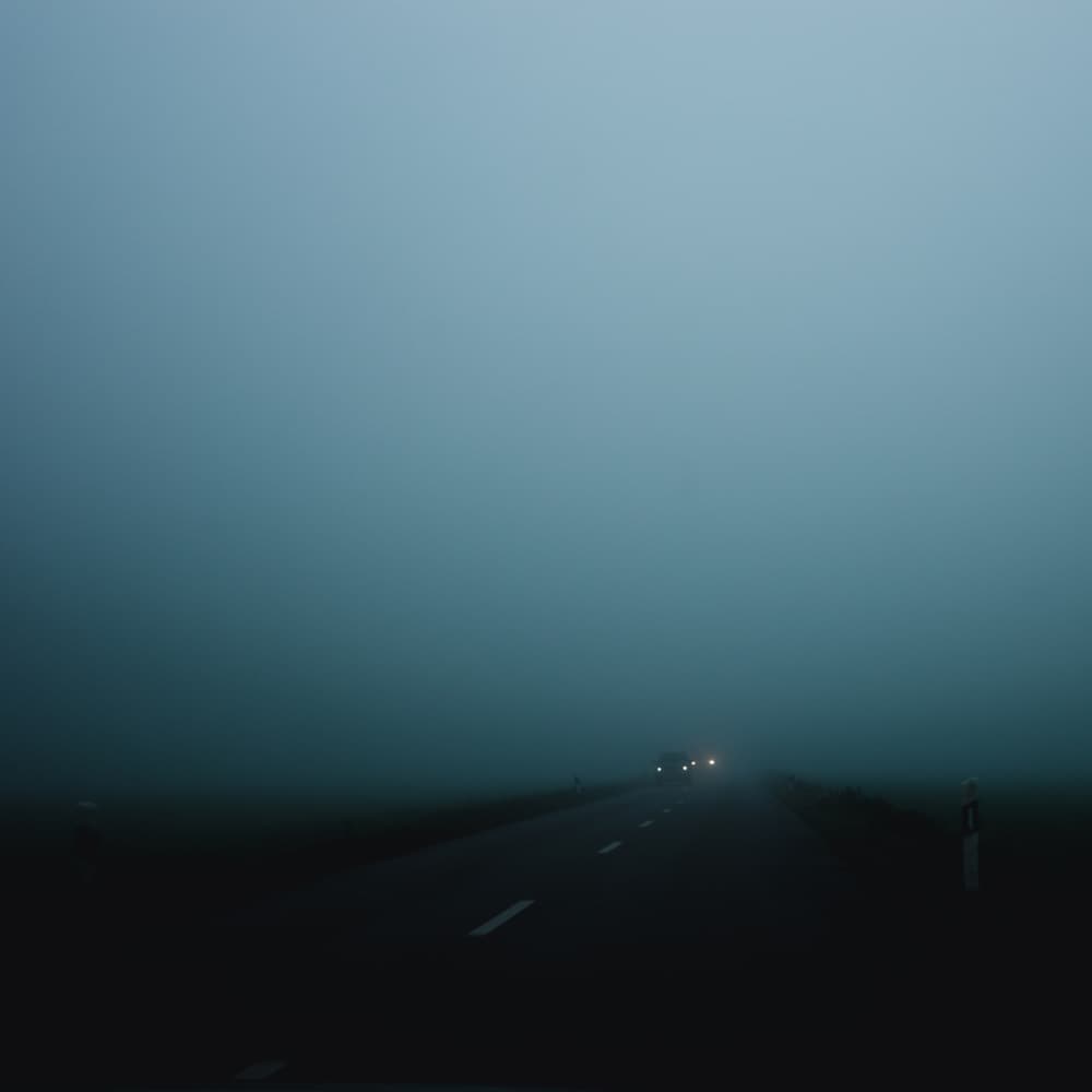 Dark Misty Road by Renate Wasinger — canvas wall art