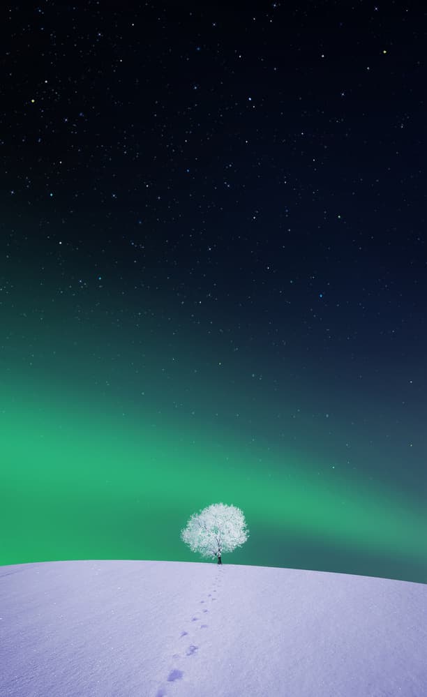 Green Aurora Snowy Tree by Bess Hamiti — canvas wall art