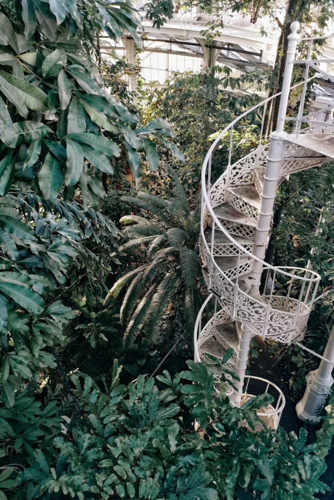 Lush Greenhouse Staircase by Talitha McQueen — canvas wall art
