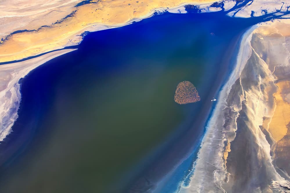 Aerial Desert Coastline by Phillip Chang — canvas wall art