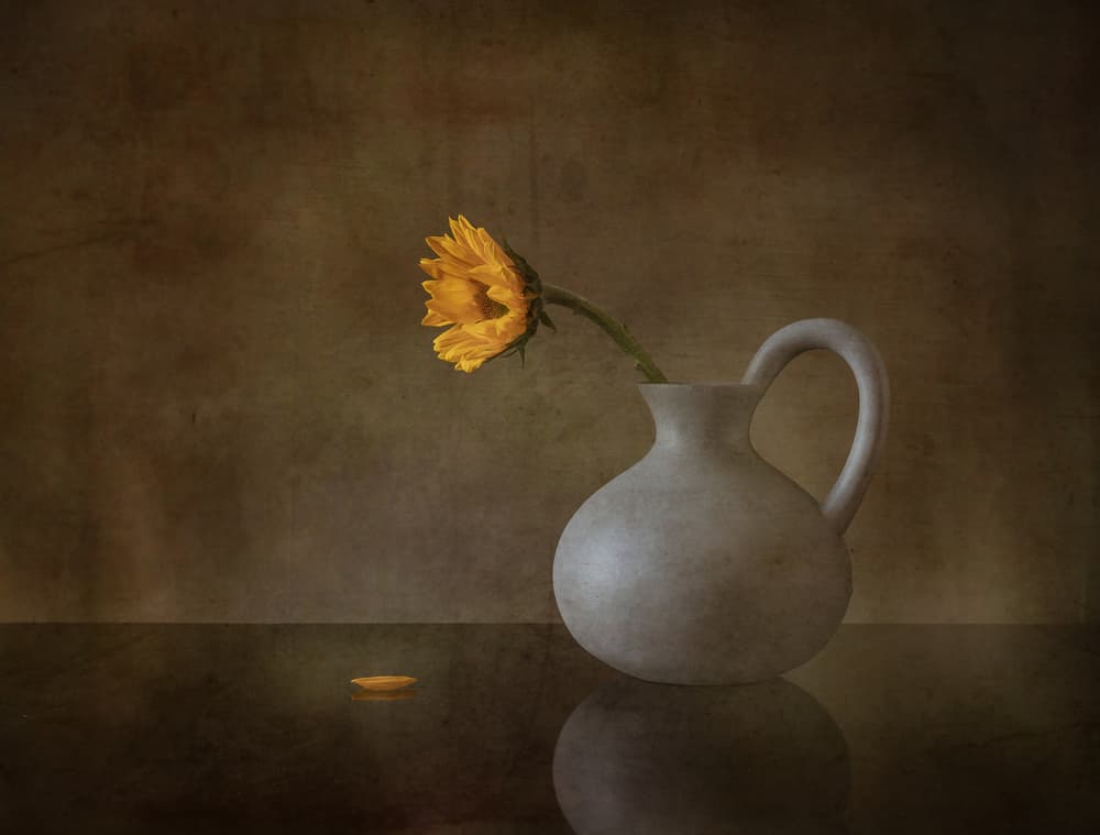 Moody Yellow Blossom by May G — canvas wall art
