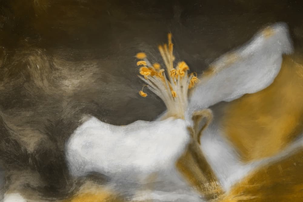 The Blossom by Cicek Kiral — canvas wall art