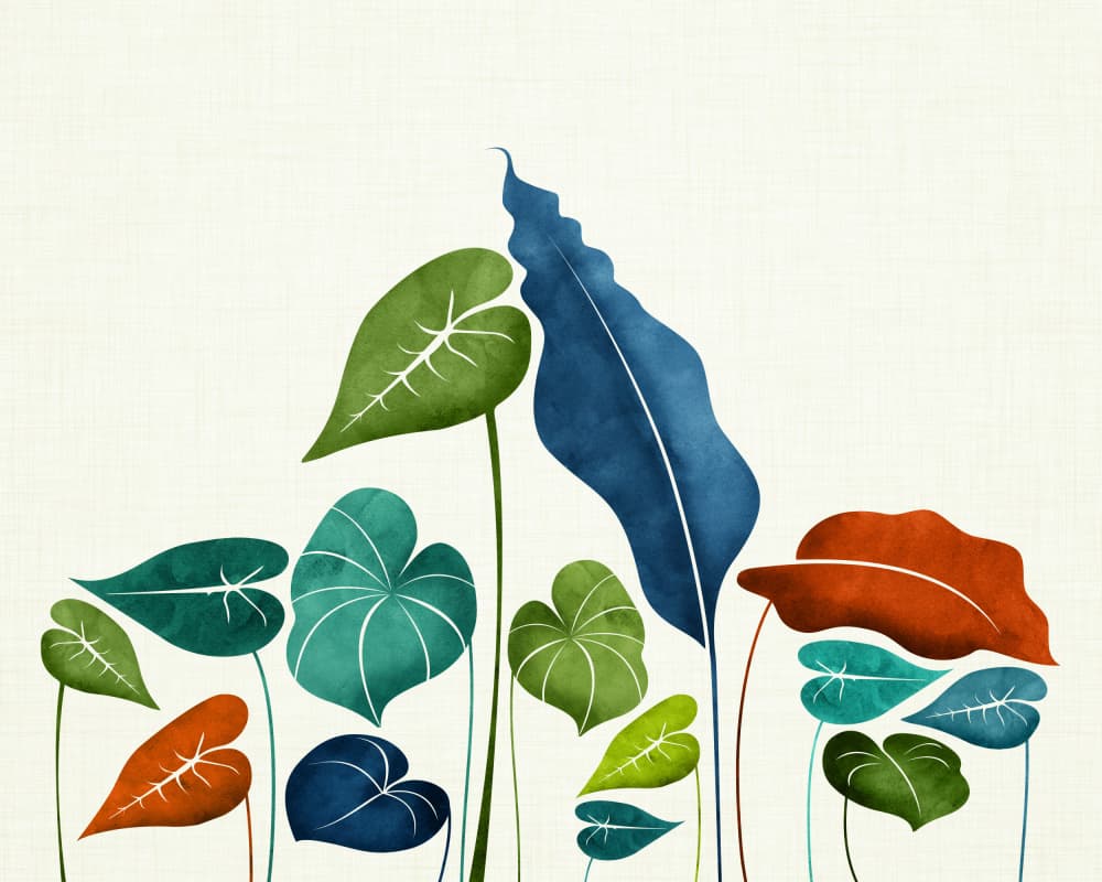 Around the World by Kristian Gallagher — canvas wall art