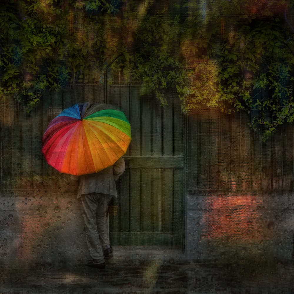 Rainy Day Rainbow Umbrella by Anette Ohlendorf — canvas wall art