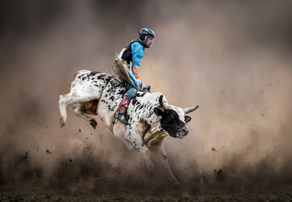 Bucking Bull Rider by Irene Wu — canvas wall art