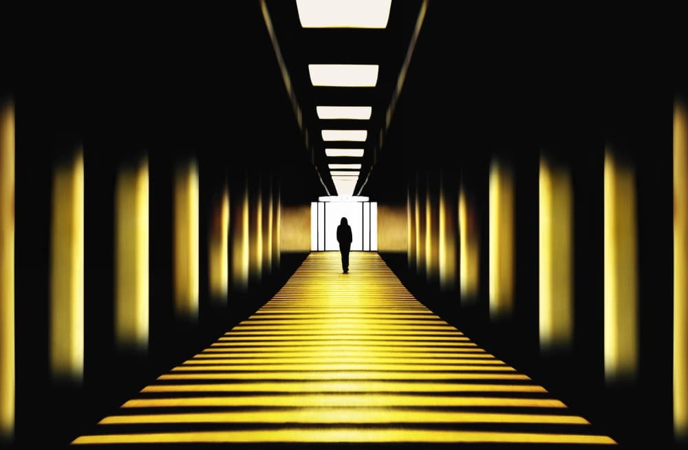 Golden Path Ahead by Samanta Krivec — canvas wall art