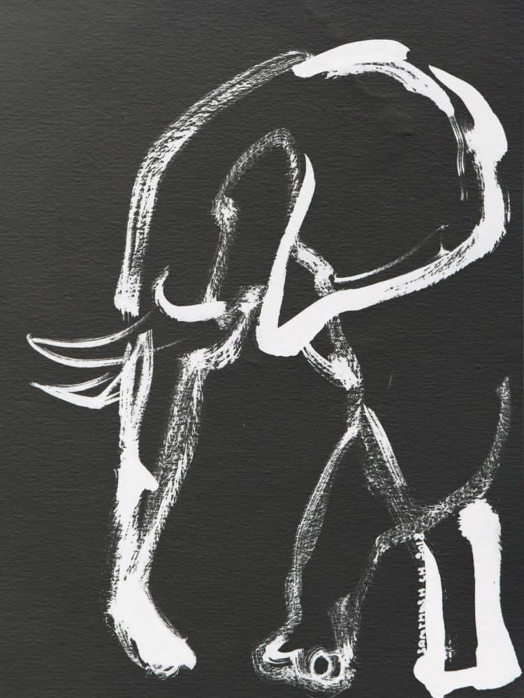 White Elephant Profile by Santhosh ch — canvas wall art