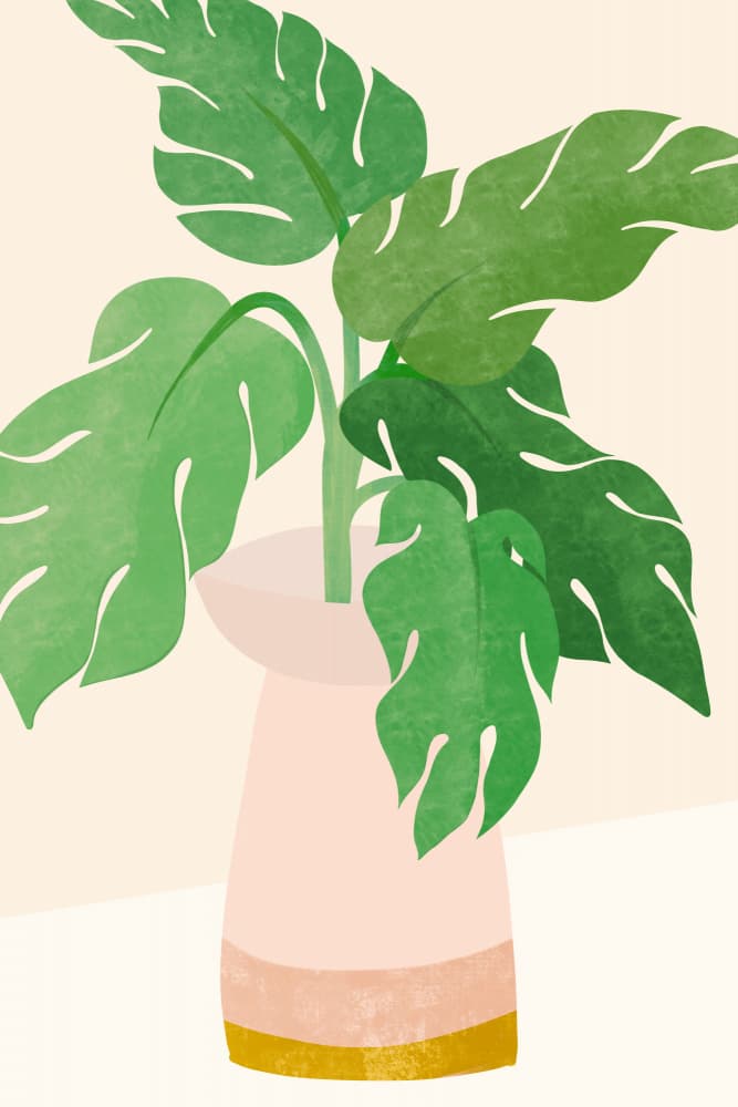 Fresh Morning by Kristian Gallagher — canvas wall art