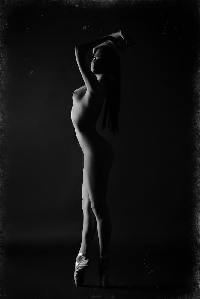Dance of elegance by Ruslan Bolgov — canvas wall art