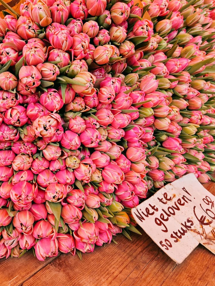 Dutch Tulip Market by Ohkimiko — canvas wall art