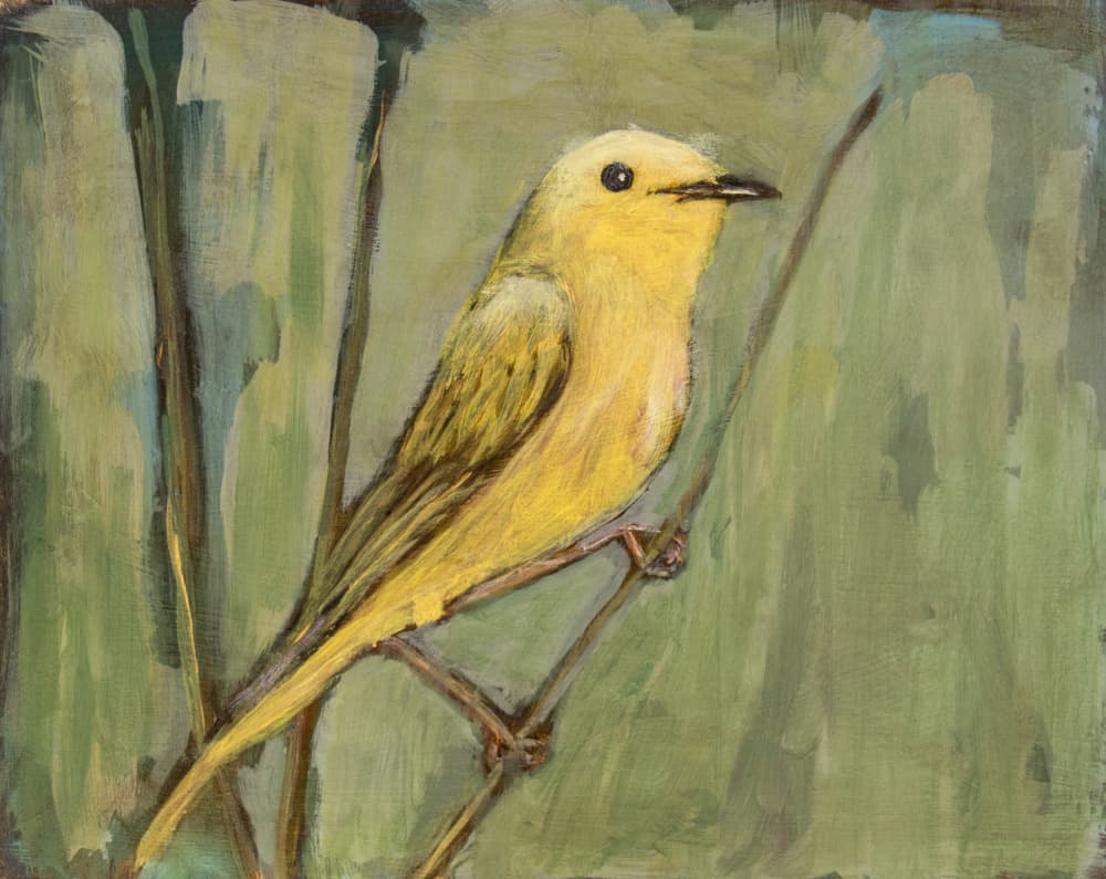 Bright Yellow Bird by Claire Lerner — canvas wall art