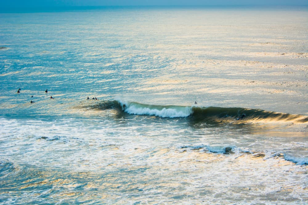 Golden Ocean Surfers by Tal Paz-Fridman — canvas wall art