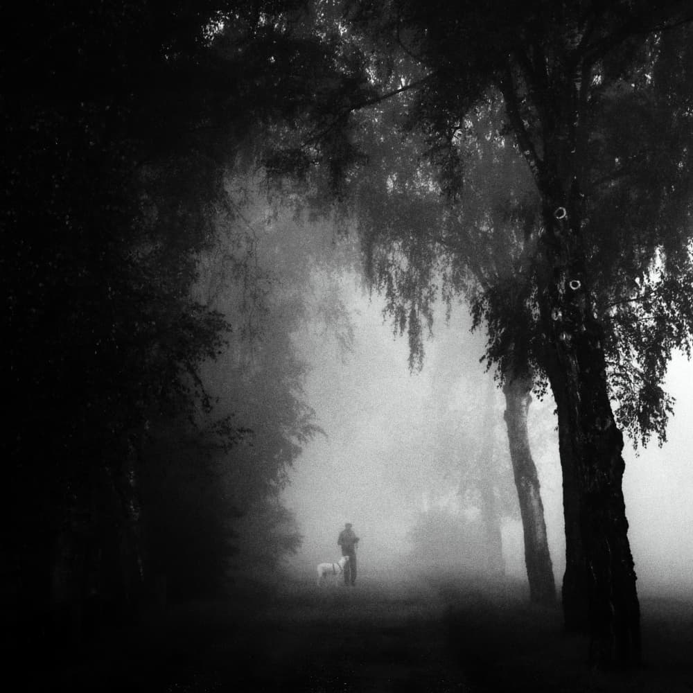 Man Dog Misty Path by Renate Wasinger — canvas wall art
