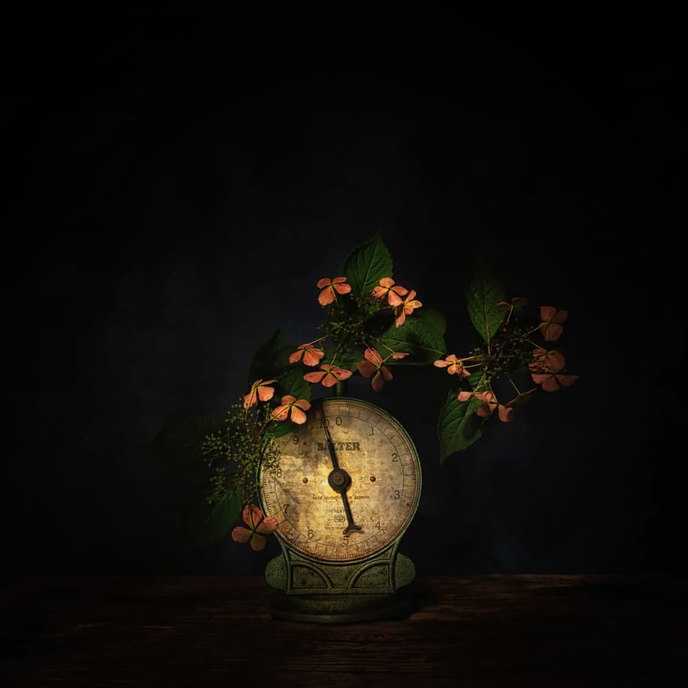 Dark Floral Scale Still Life by Saskia Dingemans — canvas wall art