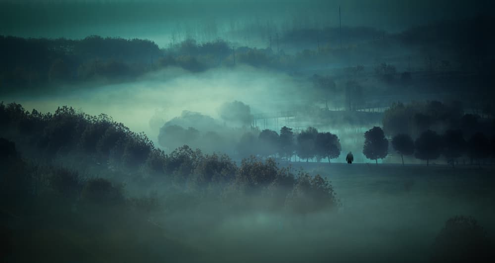 Misty Morning Landscape by May G — canvas wall art