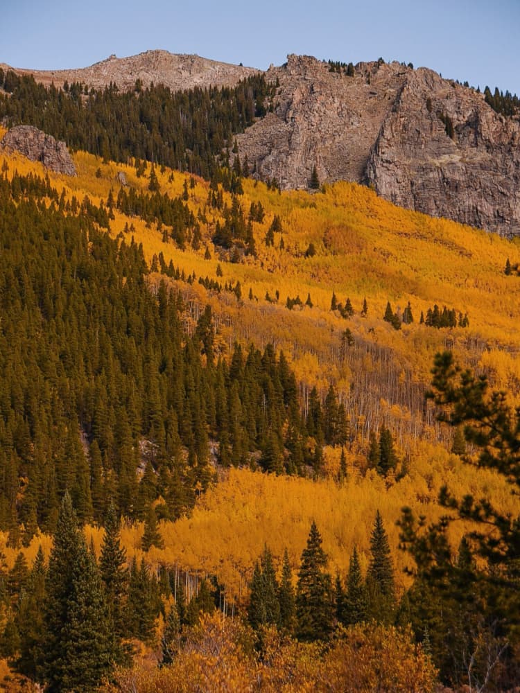 Golden Aspen Mountains by Del Mundo Imagery — canvas wall art