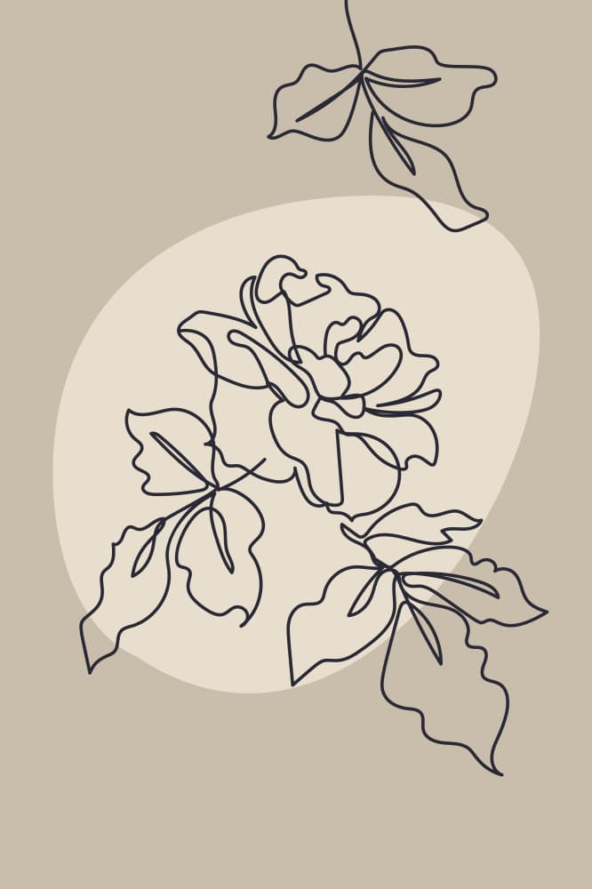 Elegant Floral Lines by Anna Rose — canvas wall art