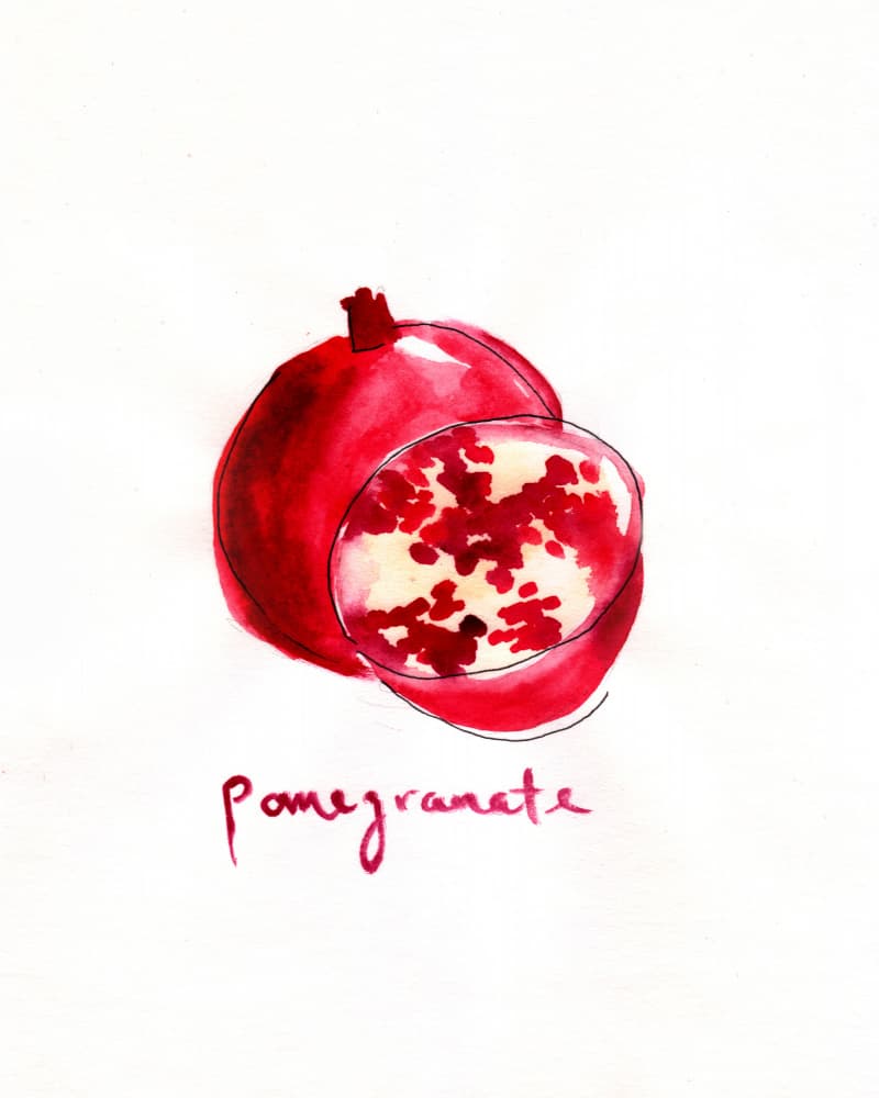 Juicy Red Pomegranate by Christine Lindstrom — canvas wall art