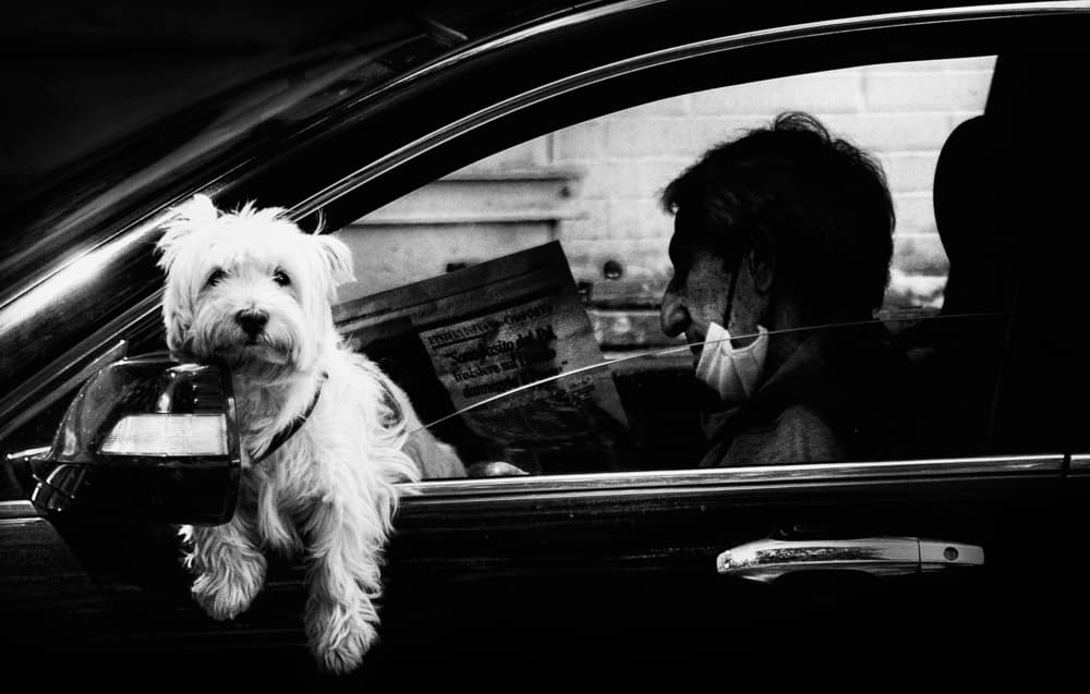 Quiet Car Companions by Antonio Grambone — canvas wall art