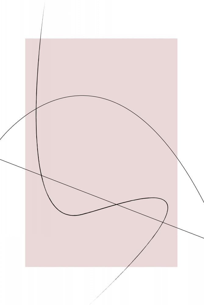 Soft Geometric Curves by Oju Design — canvas wall art