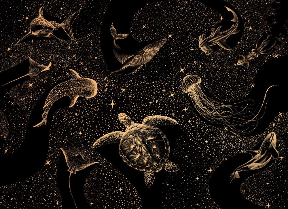 Mystic Marine Galaxy by Alirıza ÇAKIR — canvas wall art
