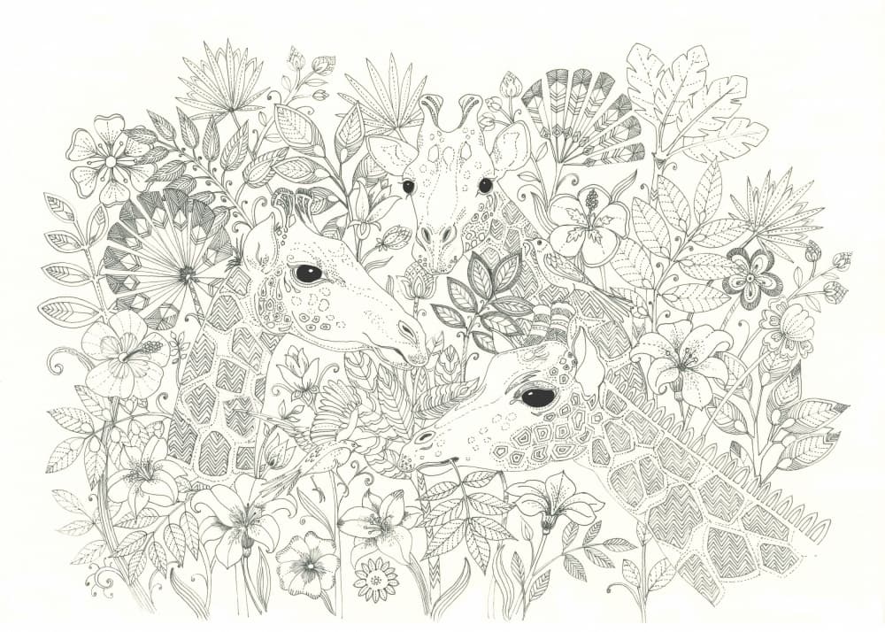 Giraffes in Bloom by Isabelle Brent — canvas wall art