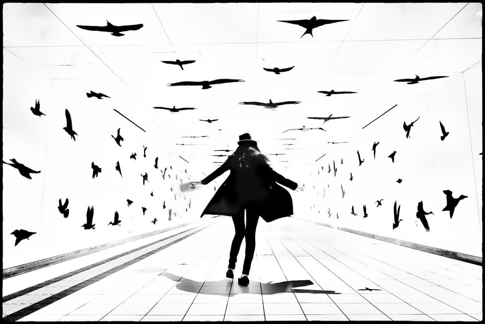 Freedom's Flight Path by Haruyo Sakamoto — canvas wall art