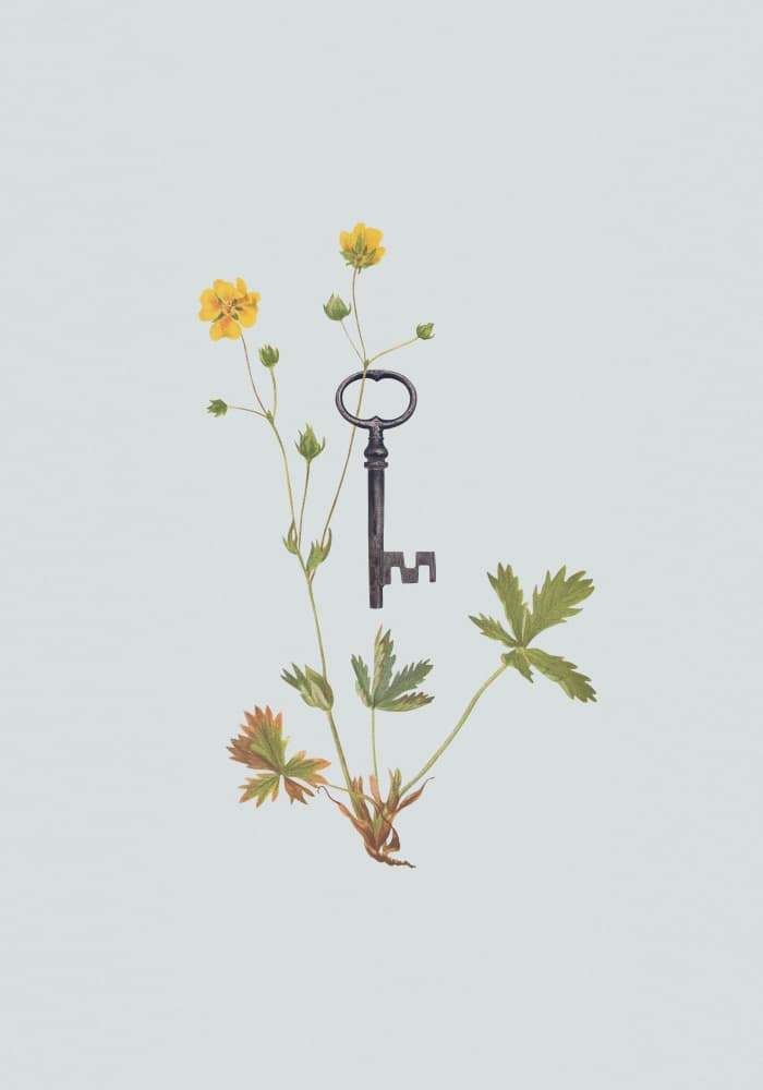 Vintage Key Bloom by Frida Floral Studio — canvas wall art