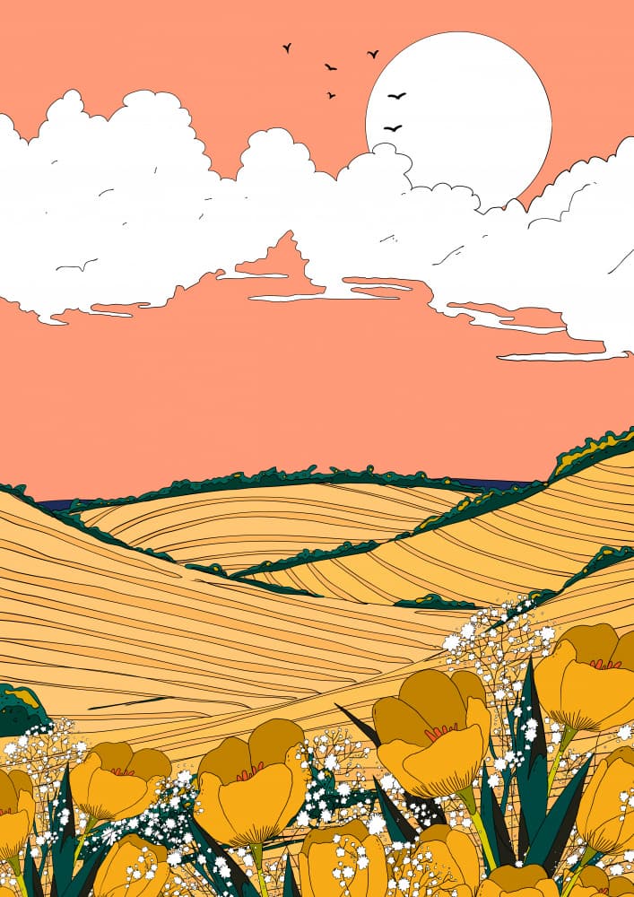 Golden Tulip Fields by Nicholas — canvas wall art