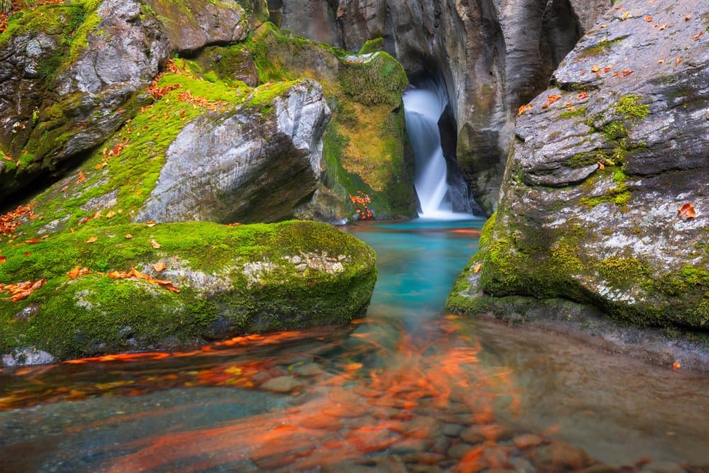 Mossy Gorge Waterfall by TONY GORAN — canvas wall art
