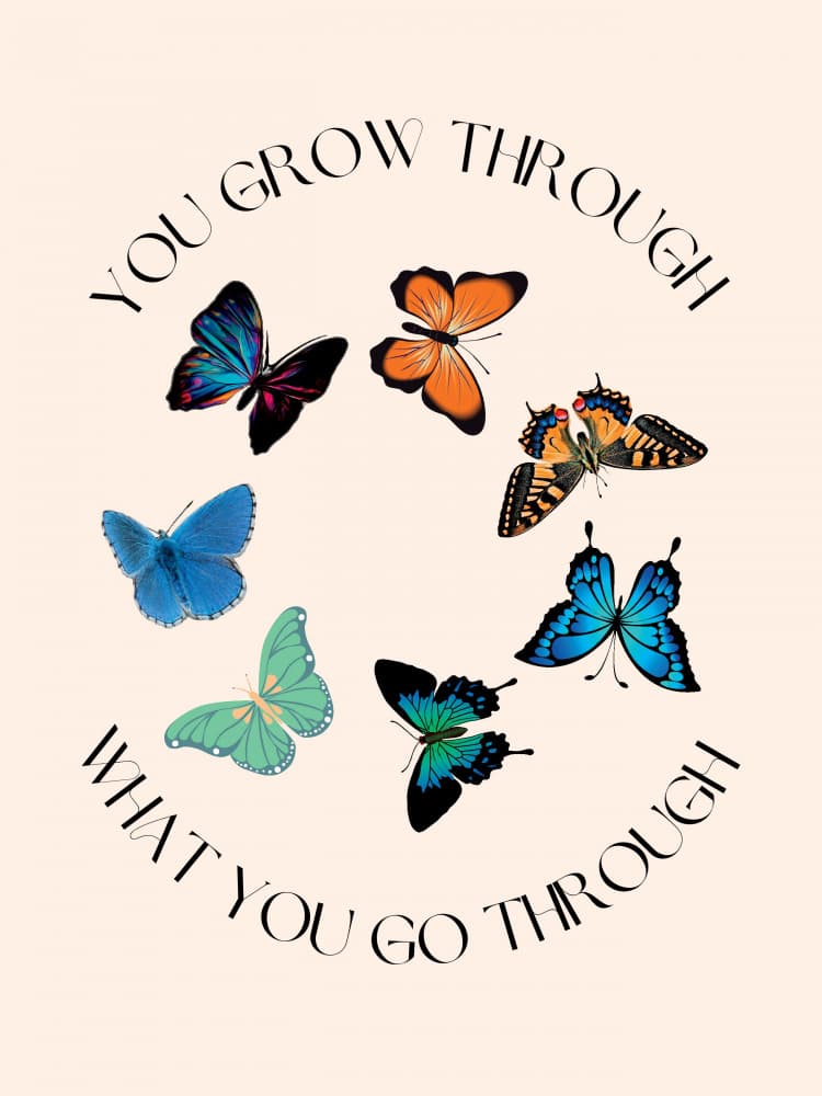 Butterfly Growth Quote by Nazma Khokhar — canvas wall art