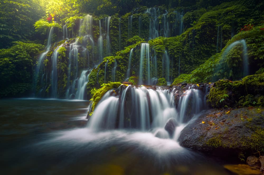 Lush Forest Waterfall by SANDEEP MATHUR — canvas wall art