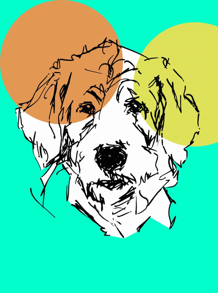 Playful Pop Dog by casa cartissi — canvas wall art