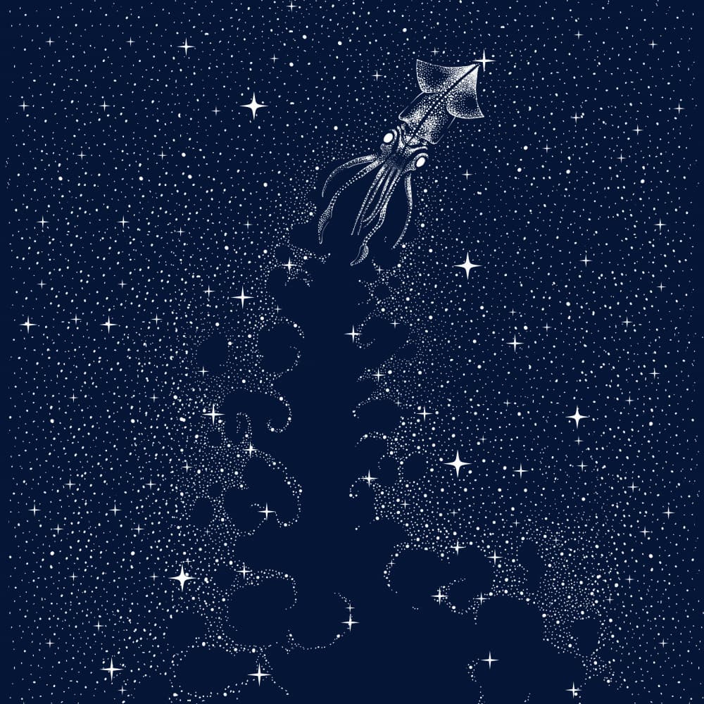 Cosmic Squid Ascent by Alirıza ÇAKIR — canvas wall art