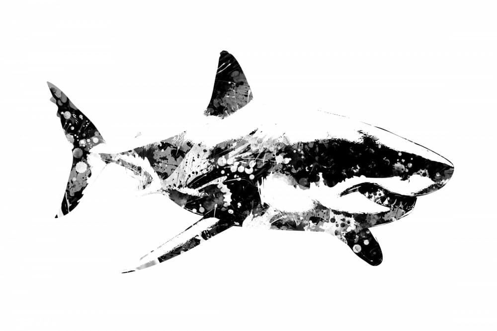 Abstract Shark Splash by Rafal Kulik — canvas wall art