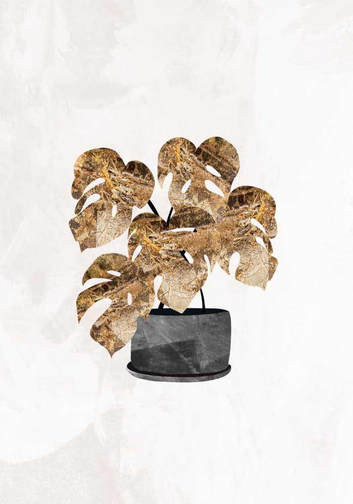 Golden Monstera Plant by Sarah Manovski — canvas wall art