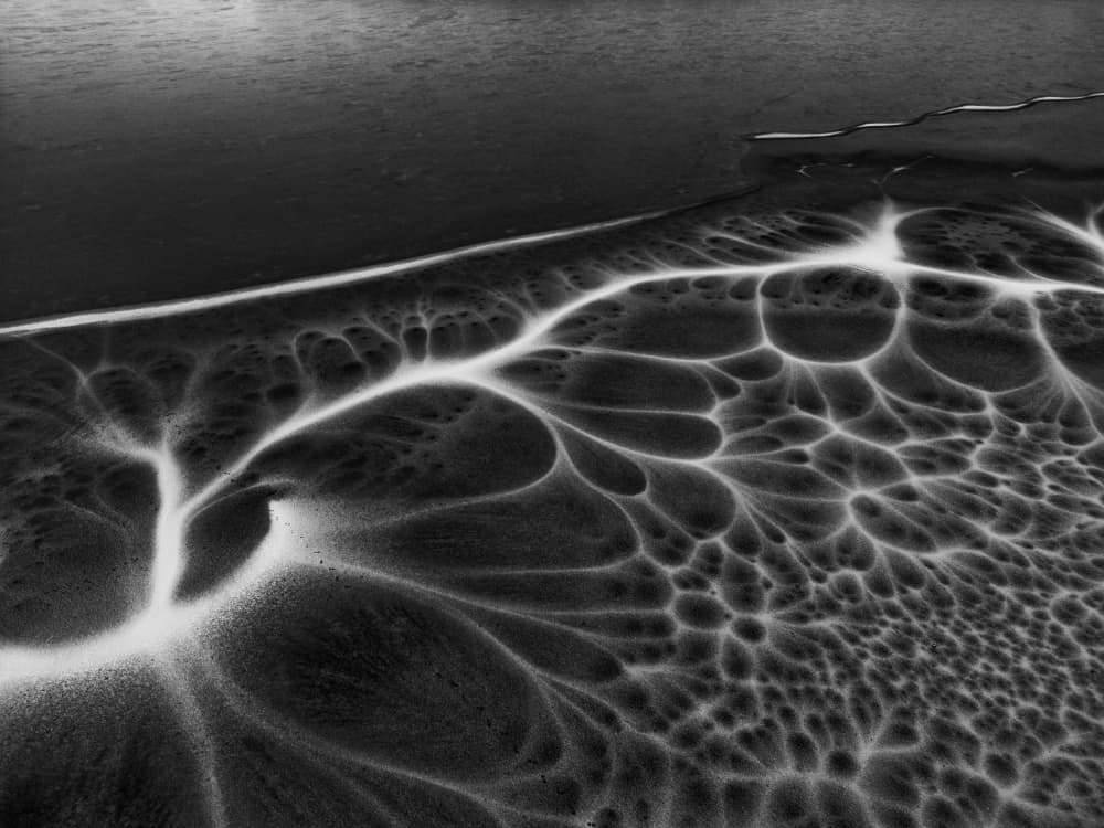 Abstract River Delta by Leszek Paradowski — canvas wall art