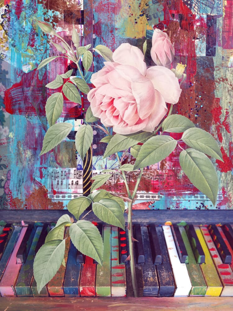 Colorful Piano Rose by Marja van den Hurk — canvas wall art