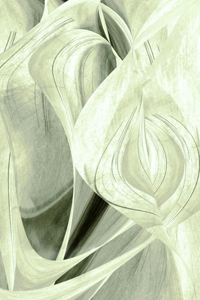 Ethereal Organic Flow by Christina Sillen — canvas wall art