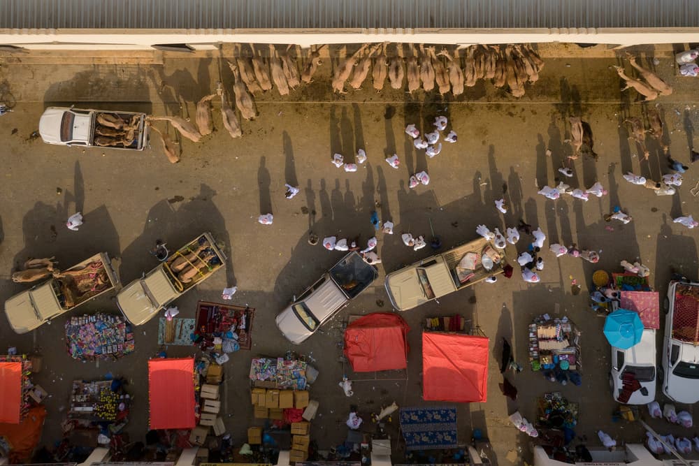 Desert Camel Market by Haitham AL Farsi — canvas wall art